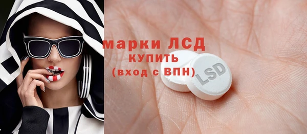 хмурый Алзамай