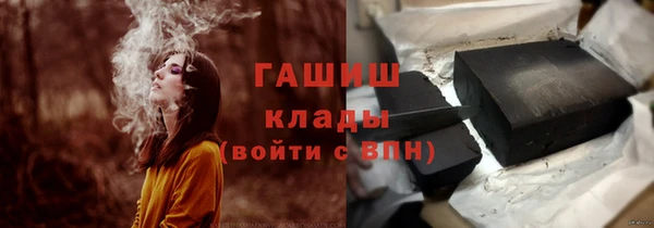 гашик Алексеевка