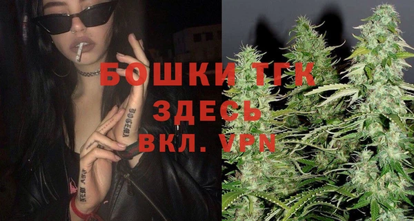 гашик Алексеевка